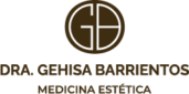 logo dragehisa