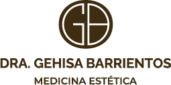 logo dragehisa